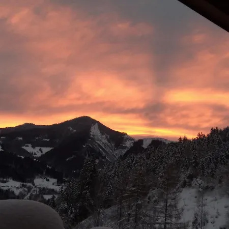 Schmittenblick 아파트 *