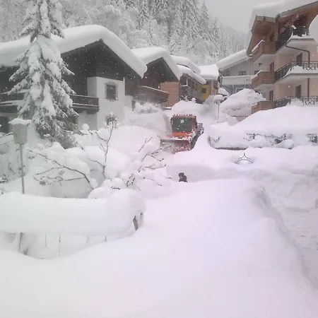 Daire Schmittenblick *